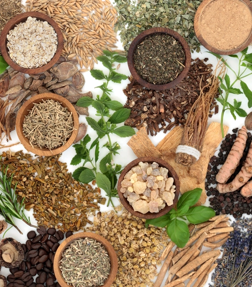 Strengthening mental balance with adaptogenic herbs